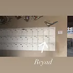 Reyad Διαμέρισμα
