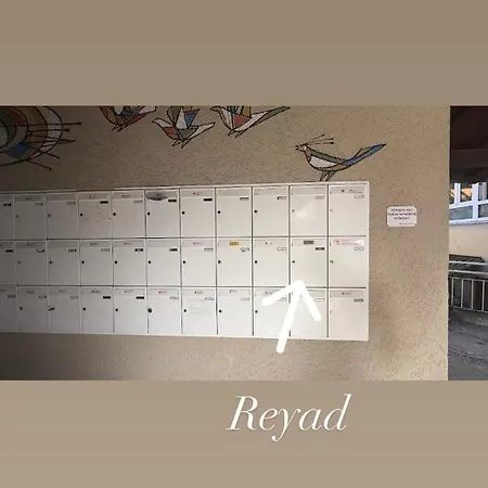 Reyad شقة