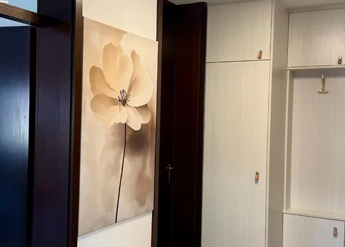 Reyad 加爾米施-帕滕基興